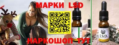 амф Камышлов