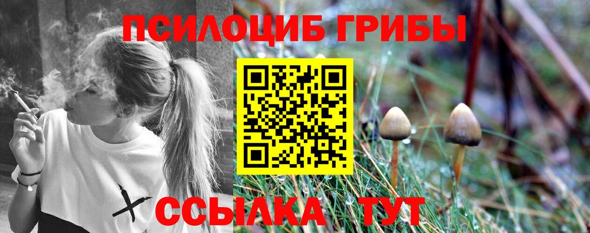 Карпинск  Псилоцибиновые грибы Cubensis  купить закладку  Вход с VPN  Галлюциногенные грибы мухоморы 