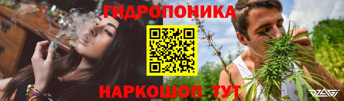 Бошки марихуана OG Kush Карпинск